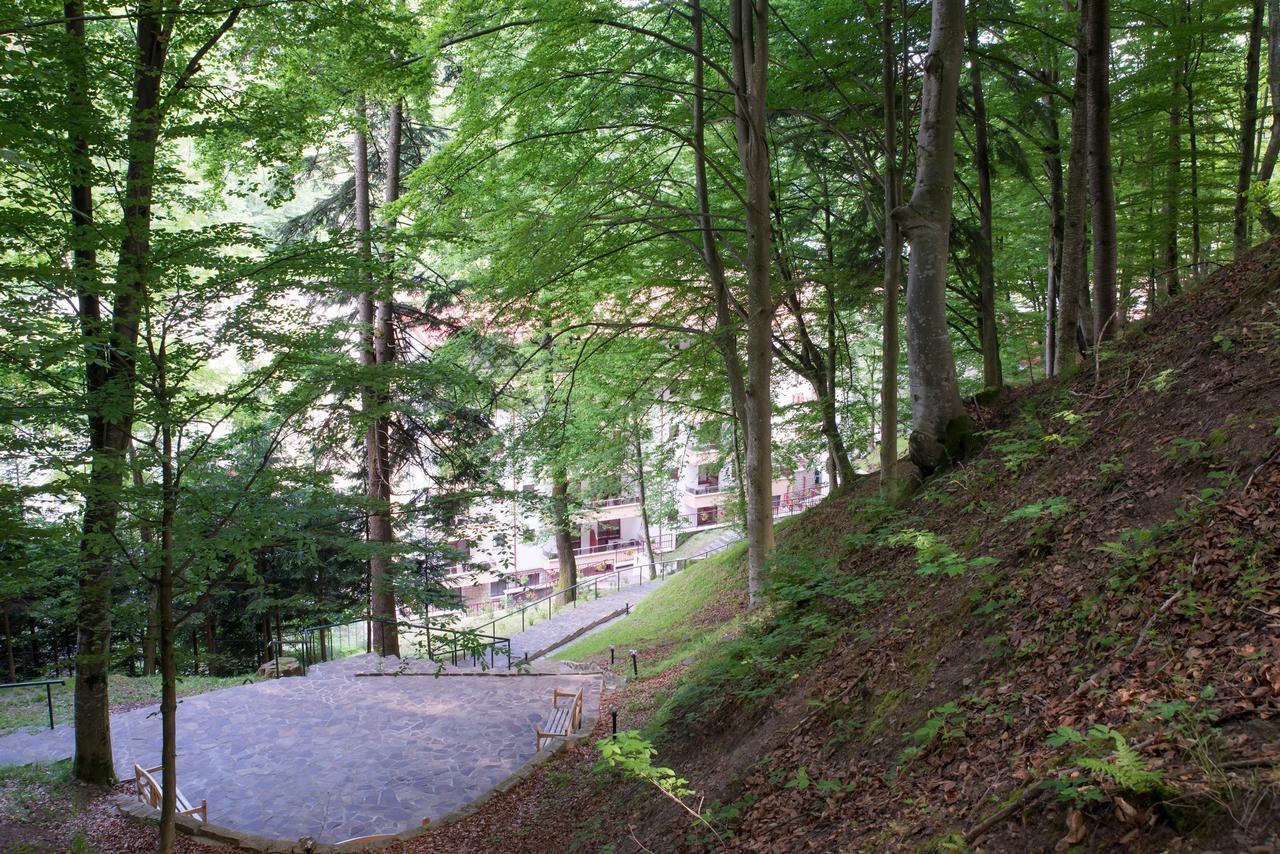 Hotel Nemira Szlanikfürdő Kültér fotó